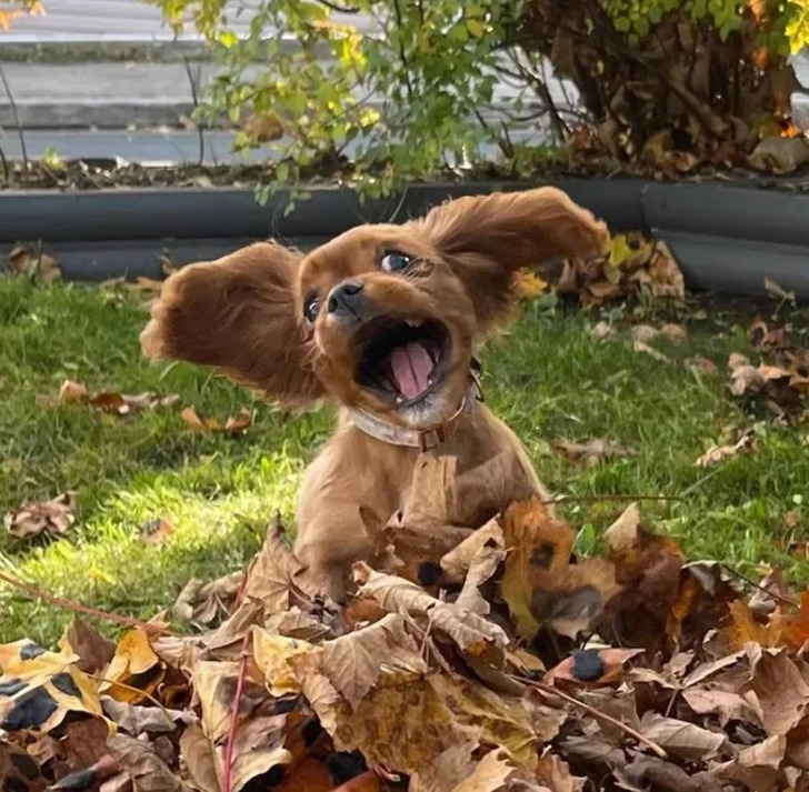 5451d859ada0d19c806843f15a