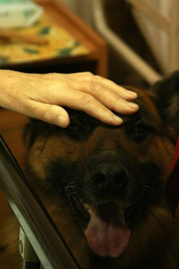 54567451c698b7e2bde84f8b00