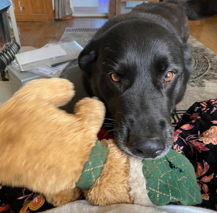 5458e95f4584fc65ca76a748d5