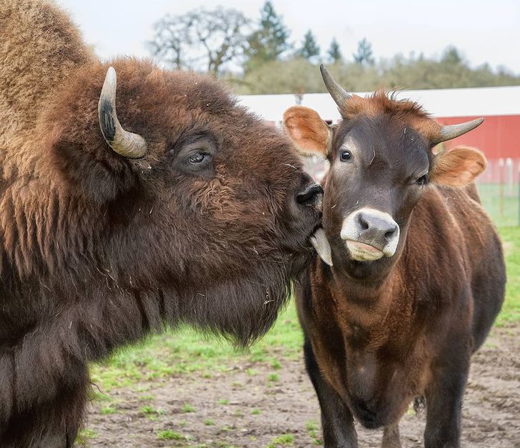 54596d52aabb0796d6806d3aa2