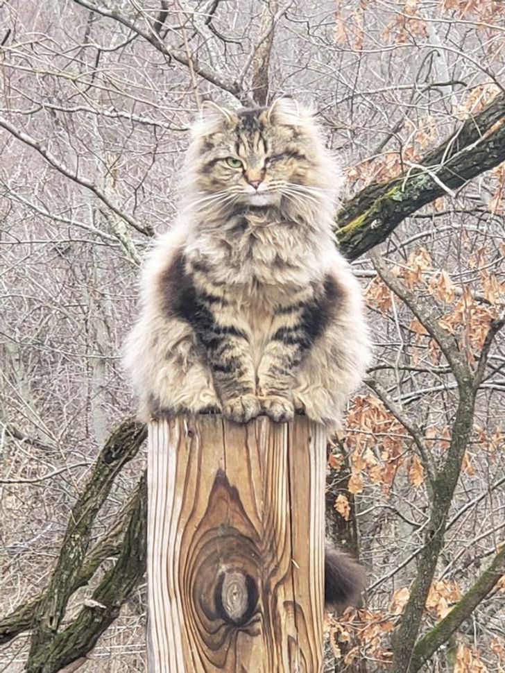 54717f50e78f12eac012fac7a7