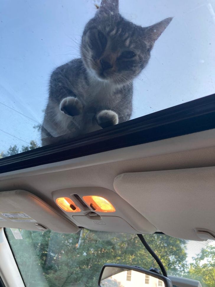 54719c588cbad2eed85a987d98