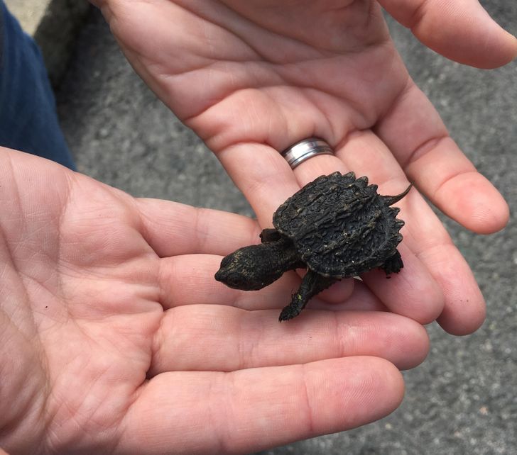 5472655943bed733c1a9192fd0