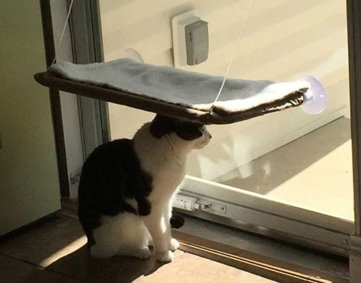 547837566499fcad0389b330b8