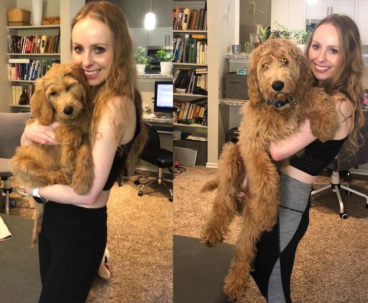 5478a55c20a1c0f3ad8403c2f2