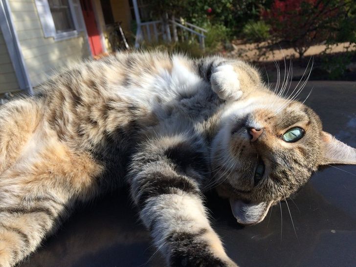 5485b2553fa2e11932f995c38c