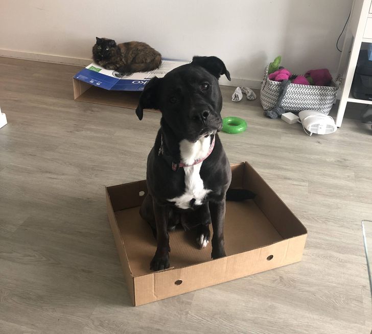 548dd95d62983f1beb212d3584