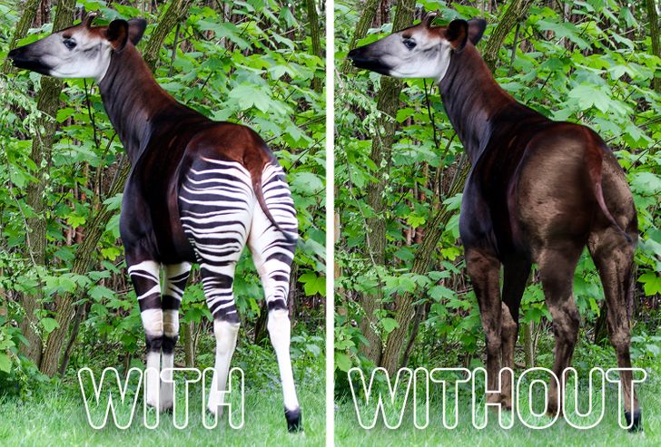 548eca57b18e1e3dce575e11a9