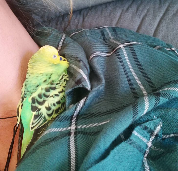 5490c2504485af2e129bafe6c9