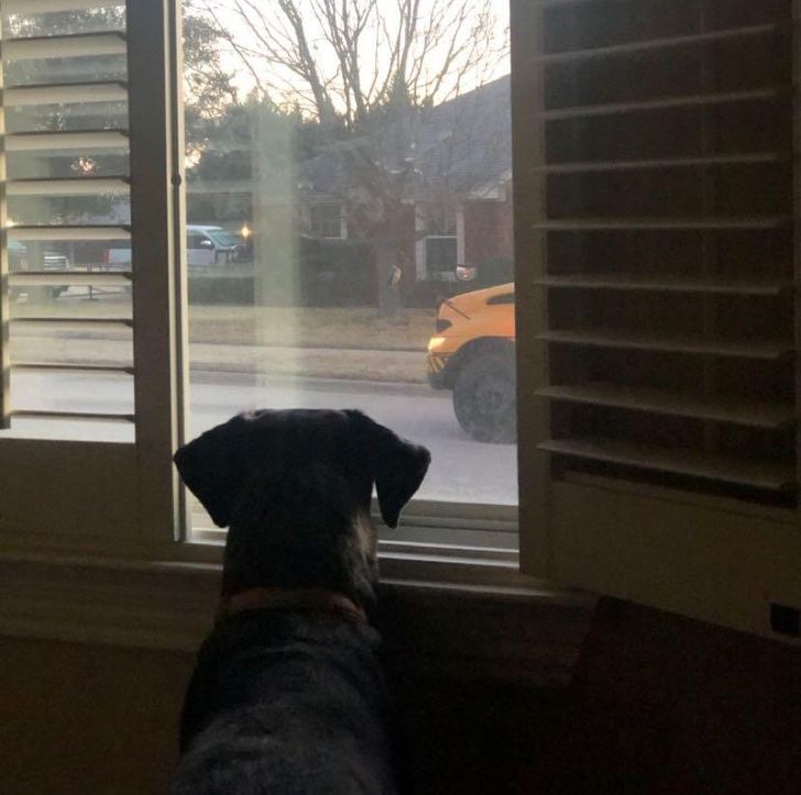 5494e055e9a4fc77ce8e9634e7 5494e055e9a4fc77ce8e9634e7