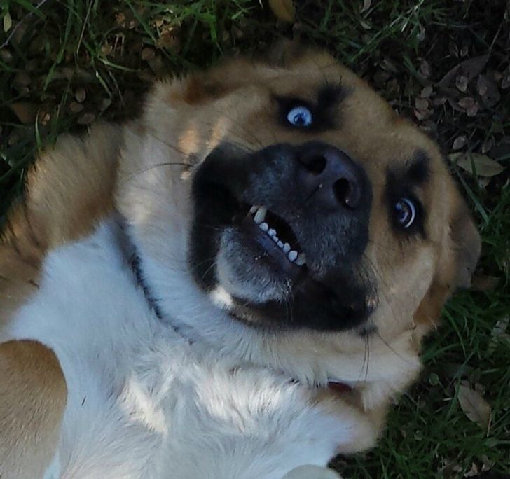 54982455e3954503421c078458