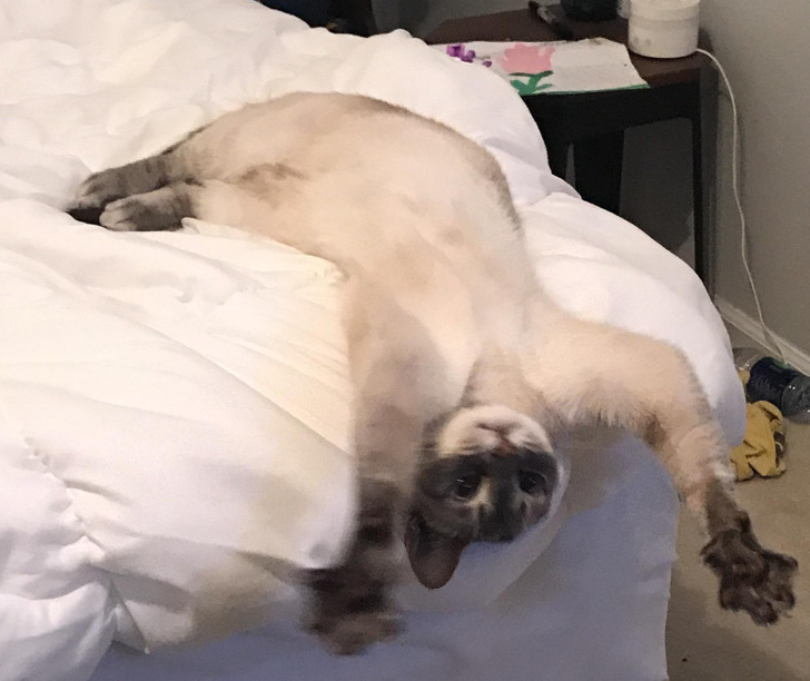 5499b25aefb38cce7df725a4ed