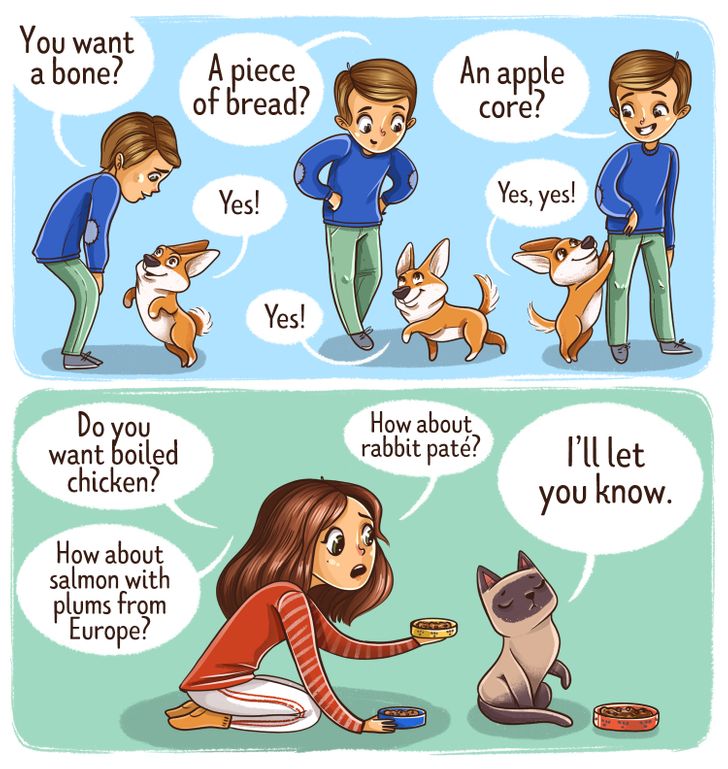 54a2155735a5cbc6d12079787a