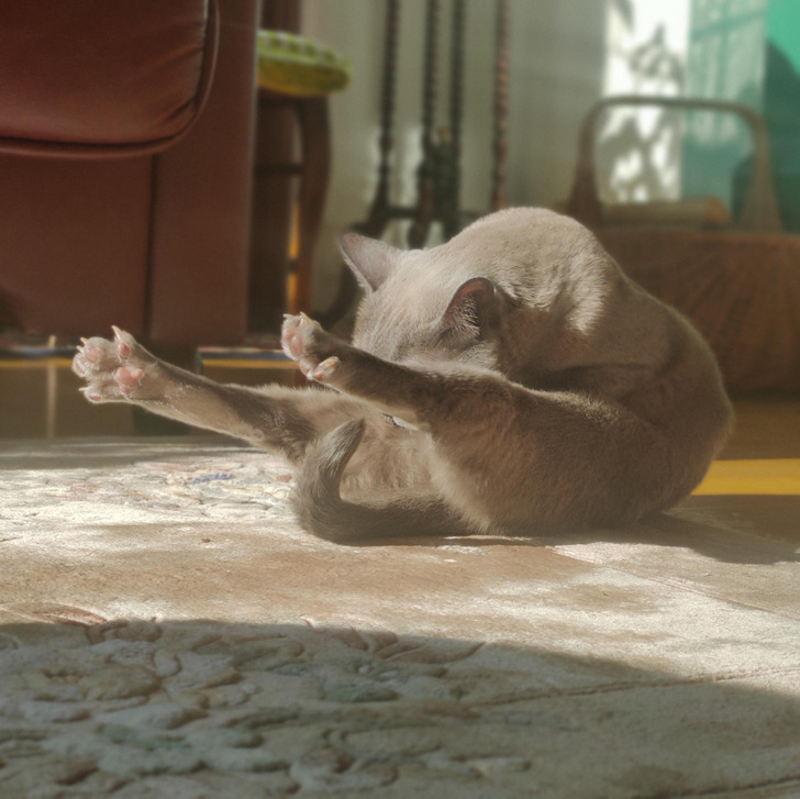 54b3c956b69498fd44b22918d9