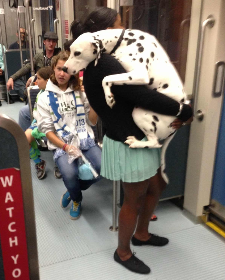 54ba8d5af3b46a7de380294d62