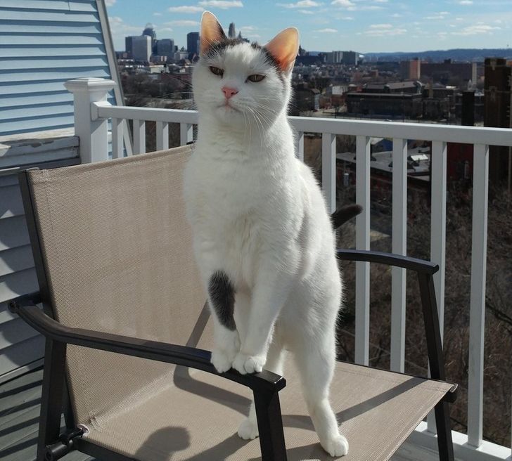 54bcb65c6187dba8b8c7cdcd95