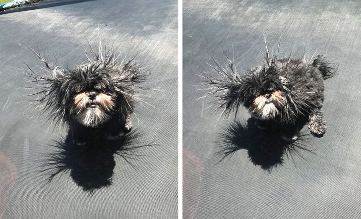 54be7f55a88e68dfeaa4560af1