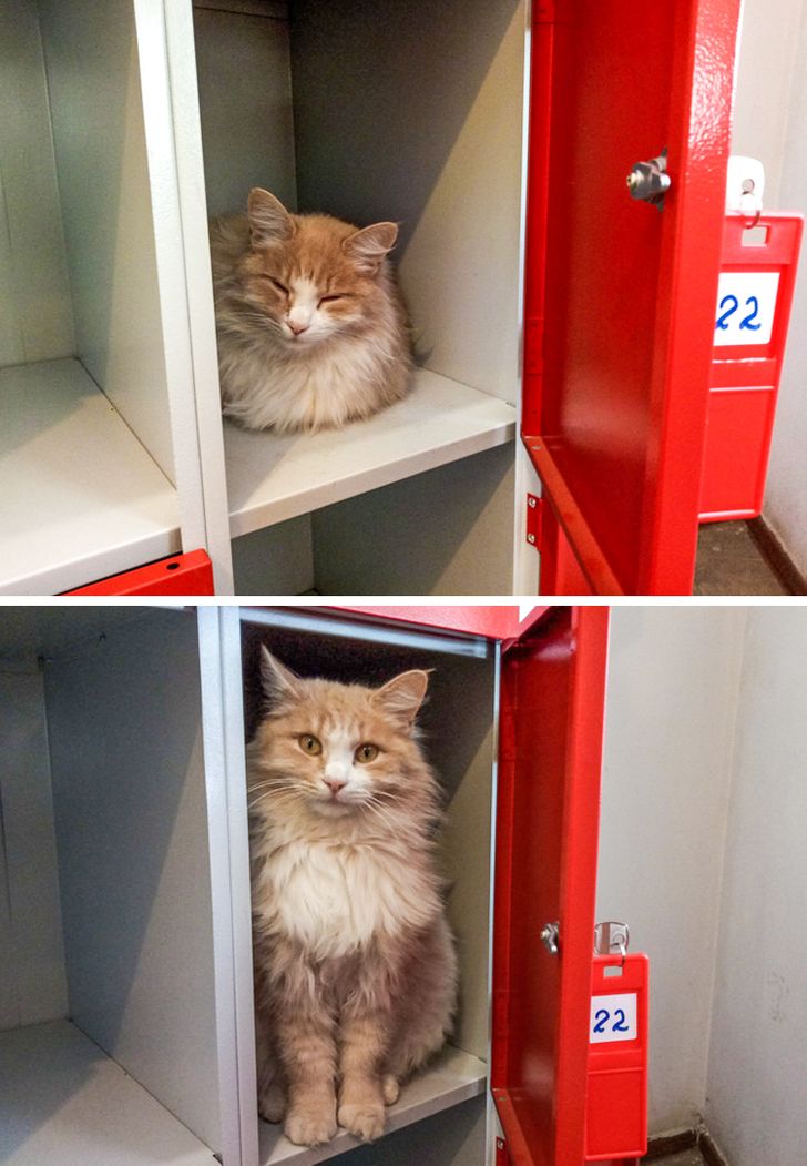 54c15a5186a7162d4641ed0b63