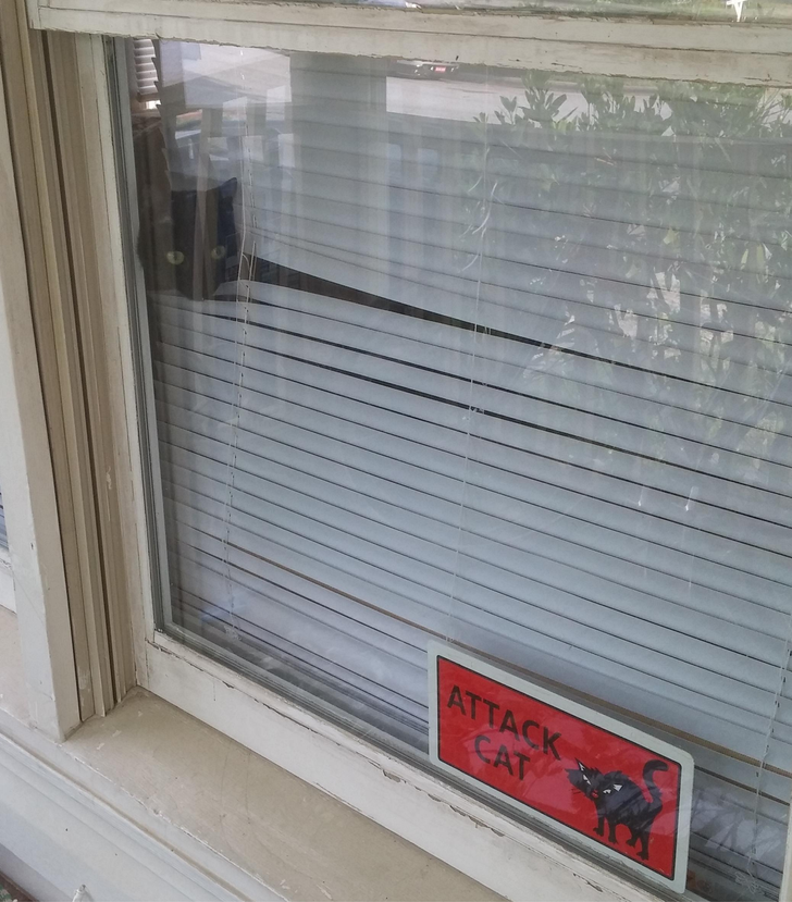 54c1d751b89d50fed198a790a3