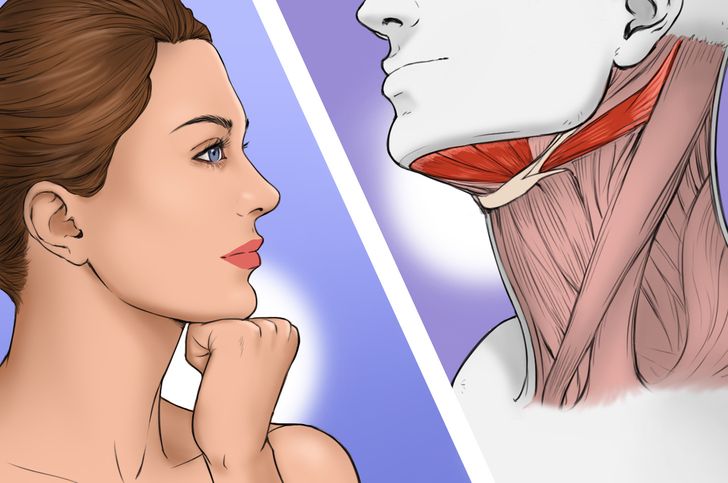 54ce965213a9d39702377adf1b