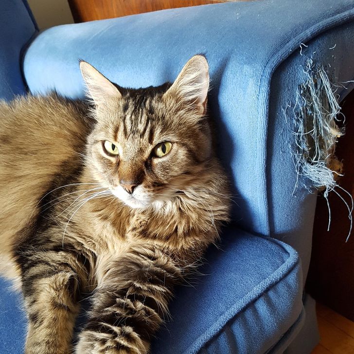 54d226582e8e68c1c5e1ead81e 54d226582e8e68c1c5e1ead81e