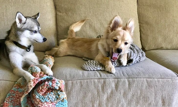 54dcfa51e3813654ad66914dd5