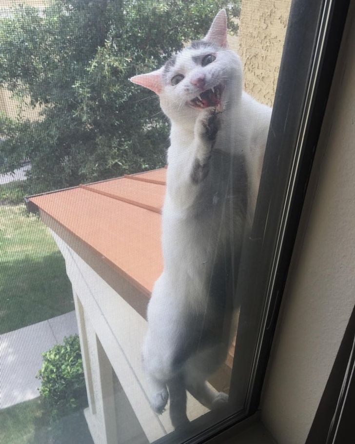 54dec85739b9bd7234007c426a