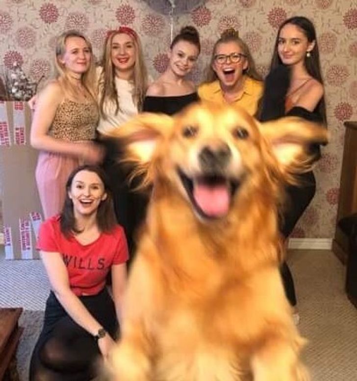 54e14655d589919aa5cde9a2bf