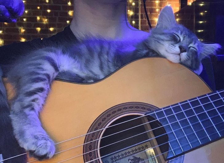 54e1bd589398179ccc8ba3df9a