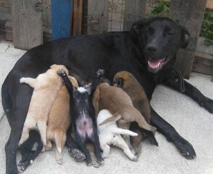 54e251553aa92da8fcdb2ef895