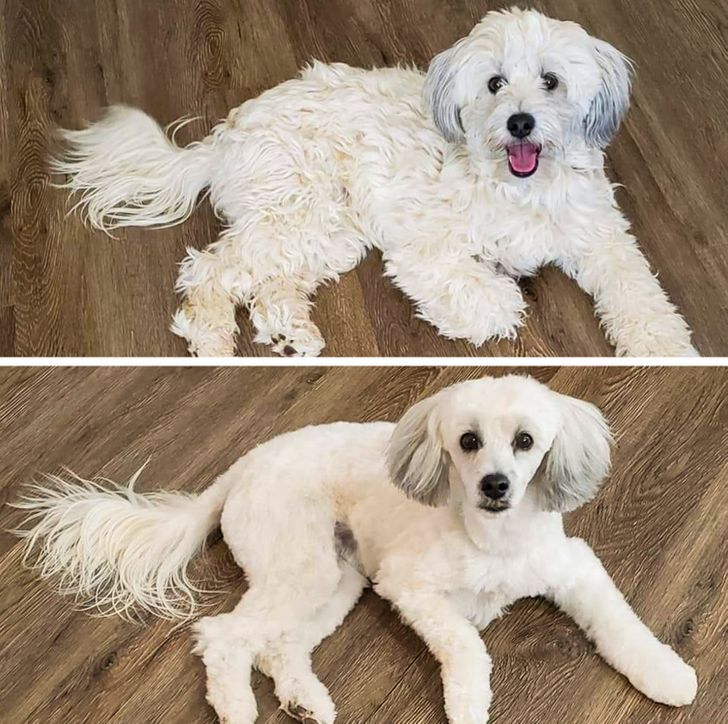 54ebdb5ebab103d19829f58bef