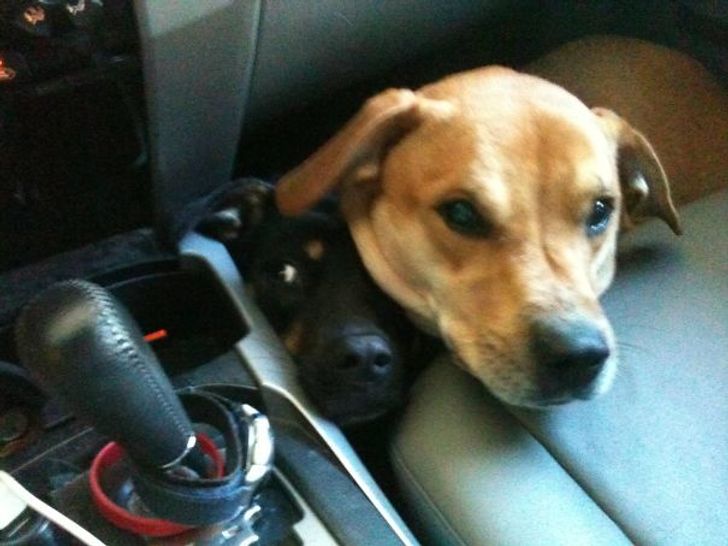 54ee255fbfb67b9531f9dc1007