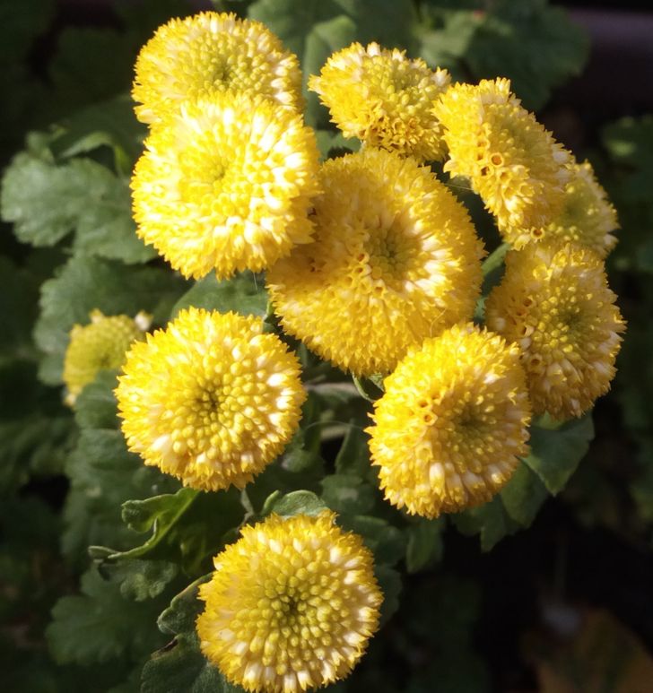 54f74d52c9a879895eebb26080