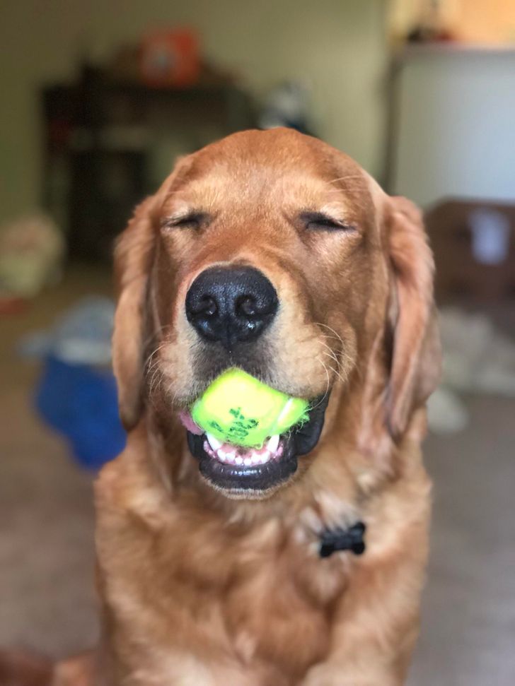 54fb3453c2a0fb5ae48e305297