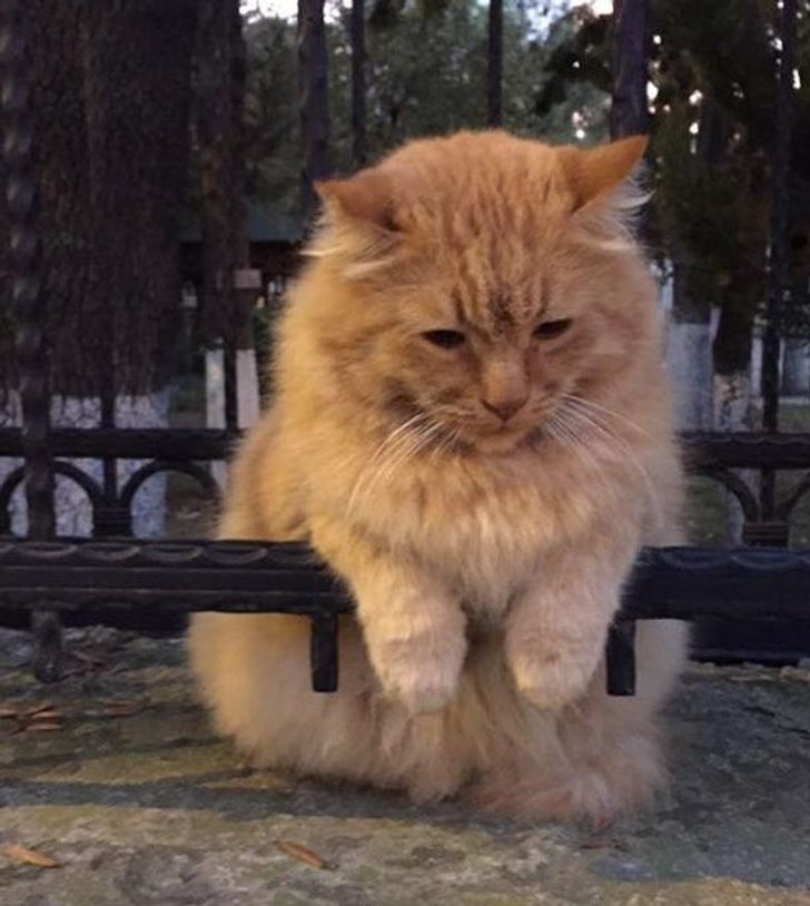 55014b501e84685c19085f75a4