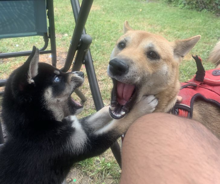 5502845d928067c735bb19d63a