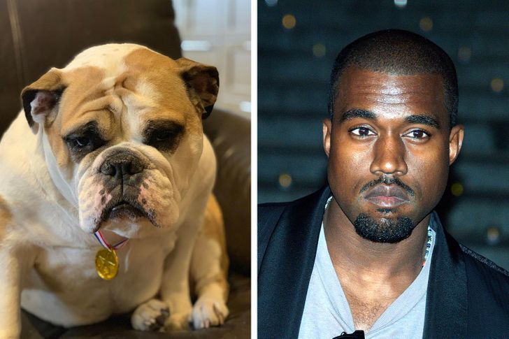 5503b957febe4bbe4807529593