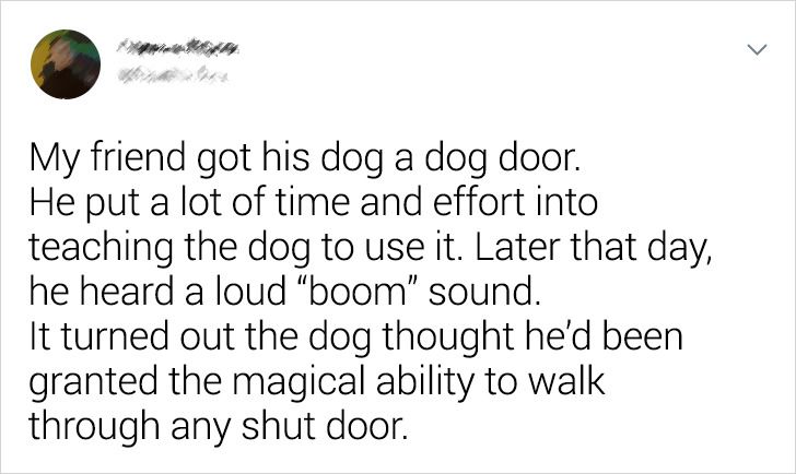 55095c52f6b96c208d818e2dc7