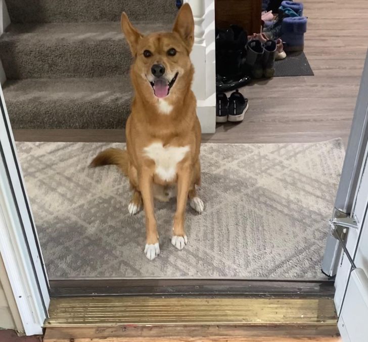 550fe65f2c8e385de0eb06b671