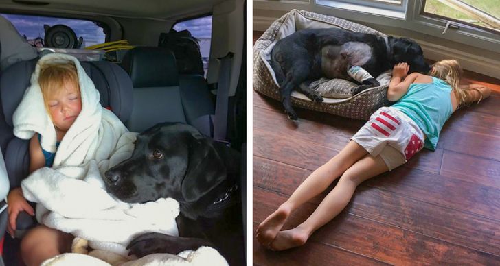 55123c55209386560a36ffcb49