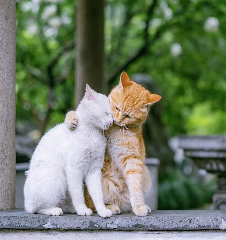 5515e15e6194ae07e7a6200f8a 5515e15e6194ae07e7a6200f8a