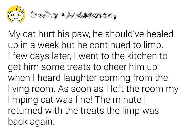 55170559a5a7079e3164ff5290