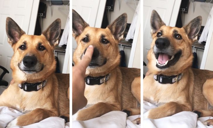 551d715c579d53669a136a9597