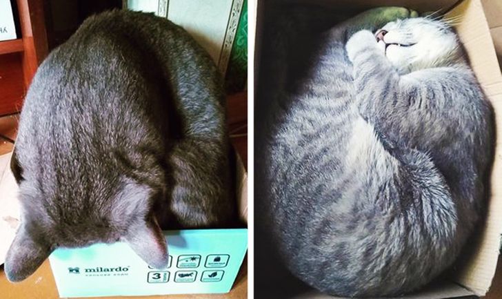 5520df56a8bc5cd8fe27678bdf