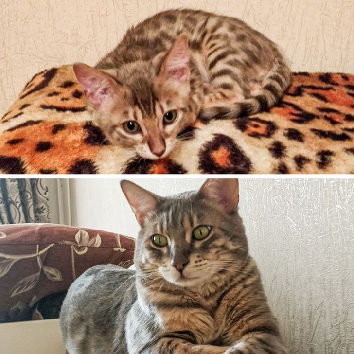 5528dd599585aa2a6b6ba2ed95