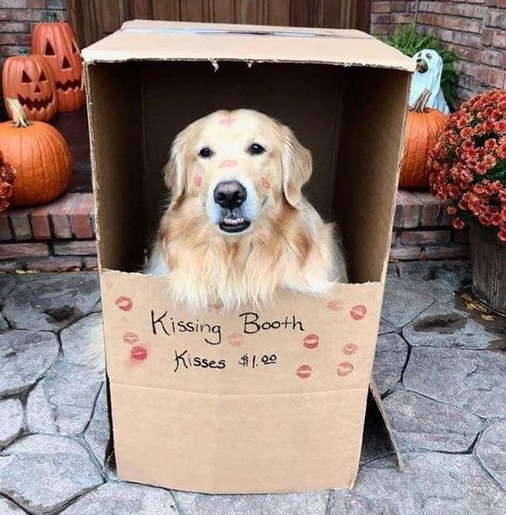 5528e758beb27d9ef9a352849d