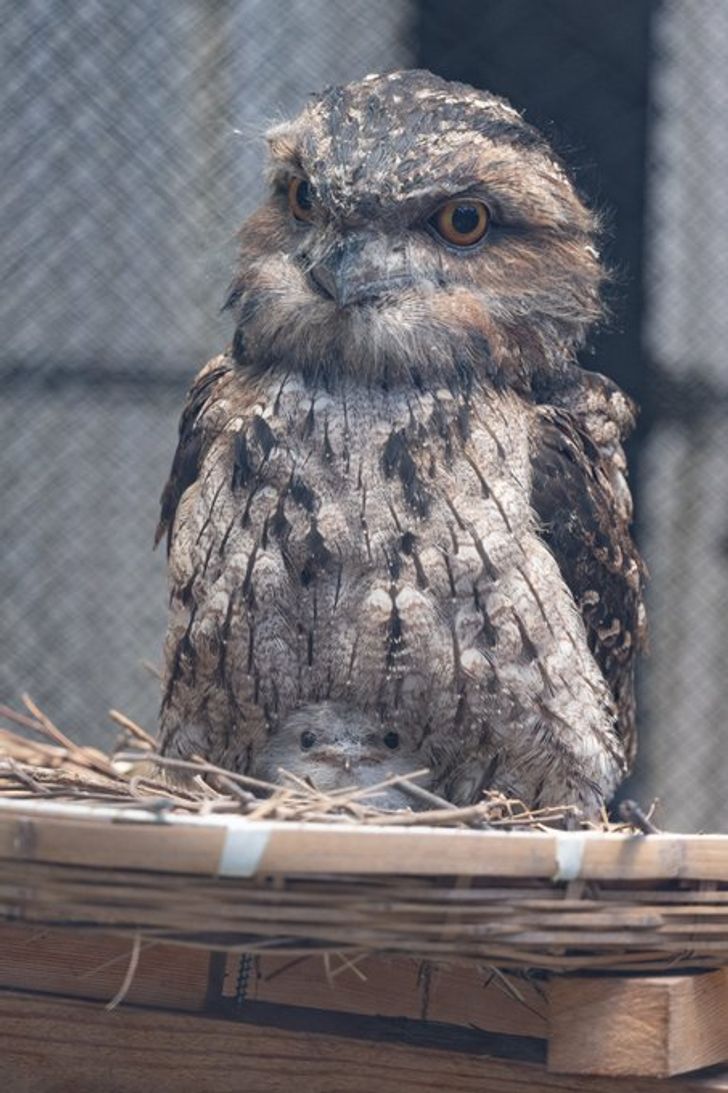 552911593eadfbdd51f97a2d75