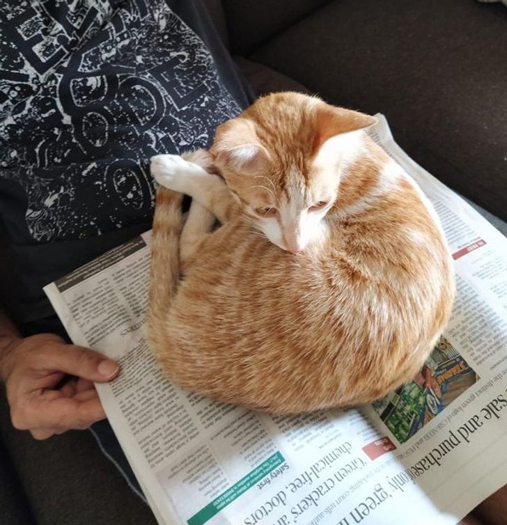 552a675c5590712b90f36163a5 552a675c5590712b90f36163a5