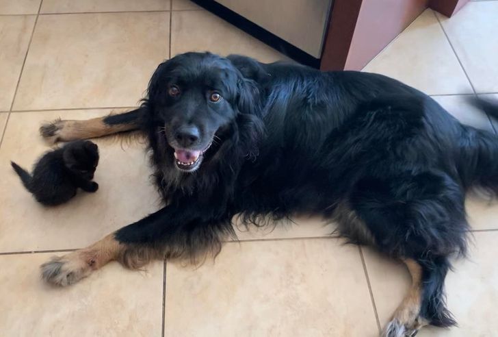 552a9d5724b9d0e51187c4faab