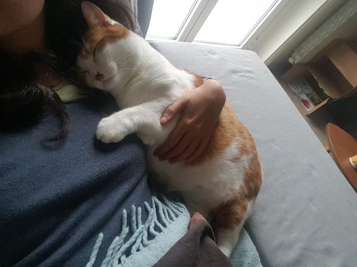 552c0e508e9489457c913d9b8e